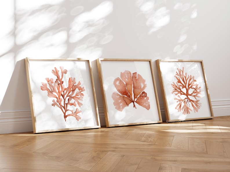 3er Set Aquarelldrucke Korallenmotive in Orange – Minimalistische Wandkunst auf Fine Art Paper