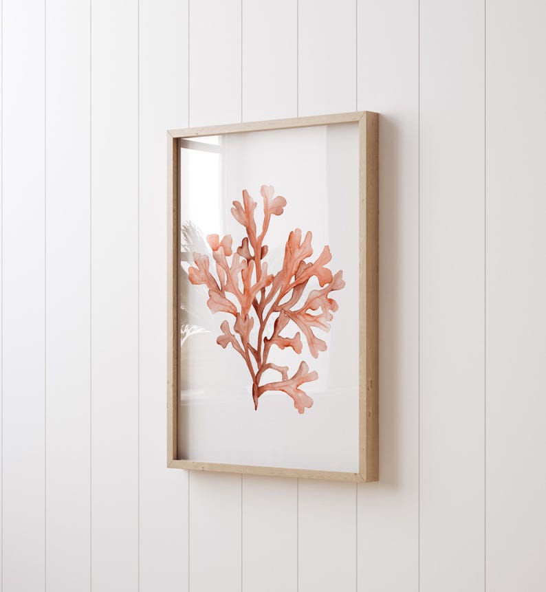 3er Set Aquarelldrucke Korallenmotive in Orange – Minimalistische Wandkunst auf Fine Art Paper, 280 g/m², ohne Rahmen