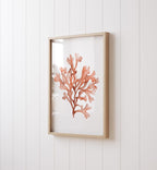 3er Set Aquarelldrucke Korallenmotive in Orange – Minimalistische Wandkunst auf Fine Art Paper, 280 g/m², ohne Rahmen