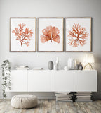 3er Set Aquarelldrucke Korallenmotive in Orange – Minimalistische Wandkunst auf Fine Art Paper, 280 g/m², ohne Rahmen
