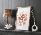 3er Set Aquarelldrucke Korallenmotive in Orange – Minimalistische Wandkunst auf Fine Art Paper, 280 g/m², ohne Rahmen