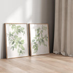 Botanische Aquarelldrucke im Set mit 2 minimalistischen Blättern in Salbeigrün, Fine Art Paper