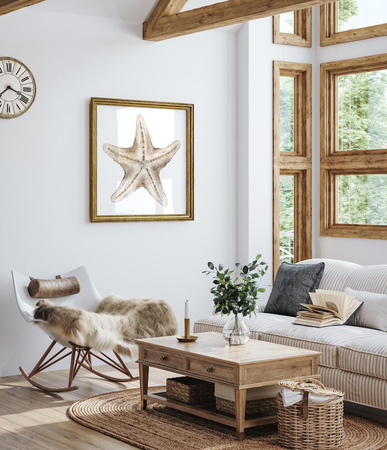 Küsten Wand Kunst 2er Set – Beige Seesterne & Diskusfische, Fine Art Papier, 280 g/m², Hamptons Stil