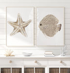 Küsten Wand Kunst 2er Set – Beige Seesterne & Diskusfische, Fine Art Papier, 280 g/m², Hamptons Stil